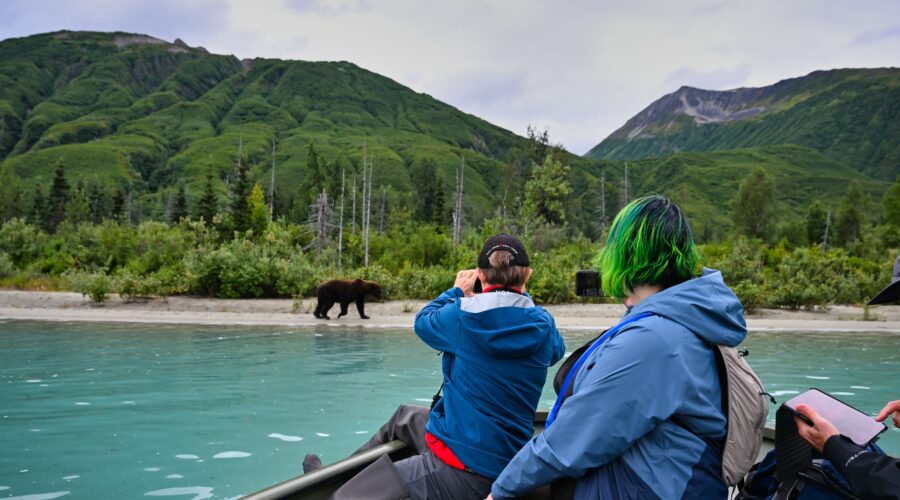 group of people on a boat taking pictures of bear 2023 11 27 05 12 56 utc